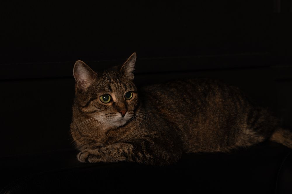 Photograph by Ирина Мошковская