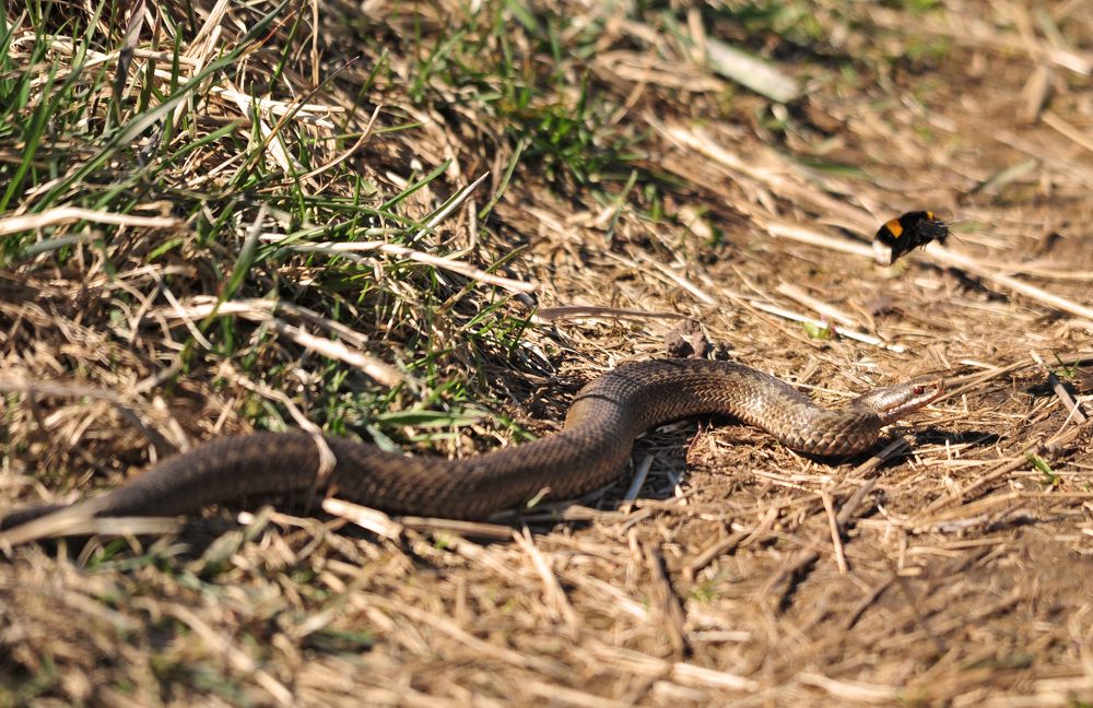 Photograph by Юрий Яковлев