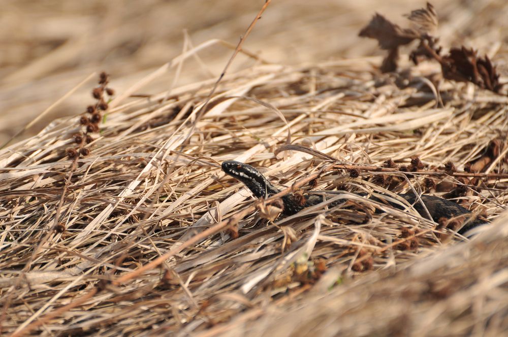 Photograph by Юрий Яковлев