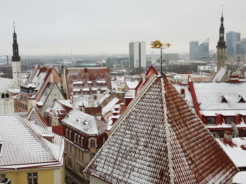 Photograph by Edmund Randal