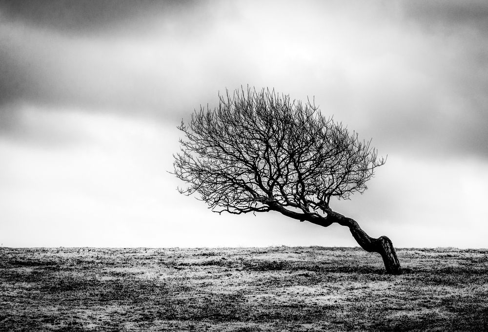 Photograph by Sidsel Tonnessen