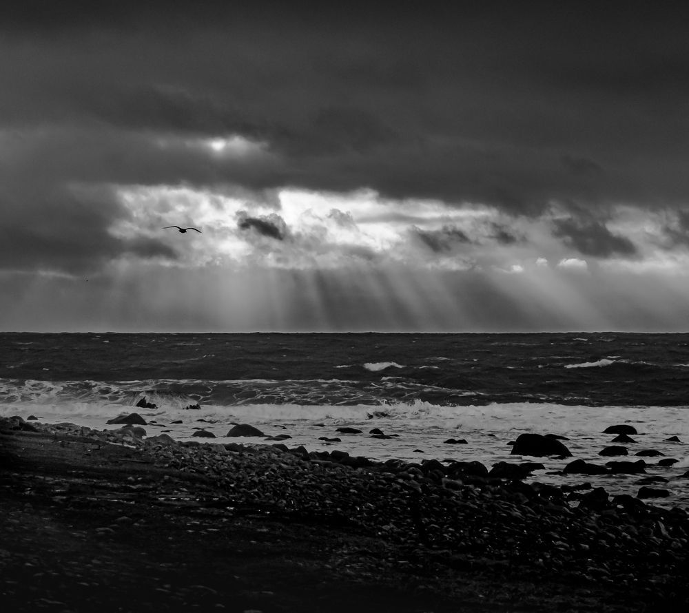 Photograph by Sidsel Tonnessen