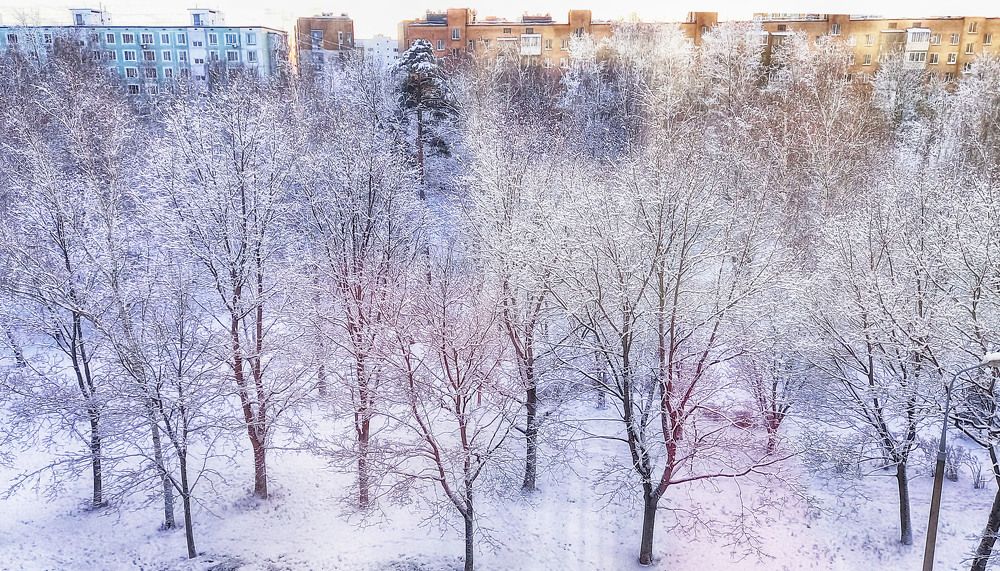 Photograph by Владимир Гречанинов