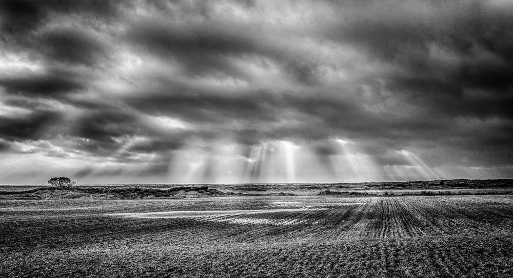 Photograph by Sidsel Tonnessen