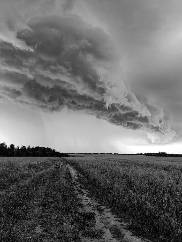 Фотография автора Андрей Шестаков