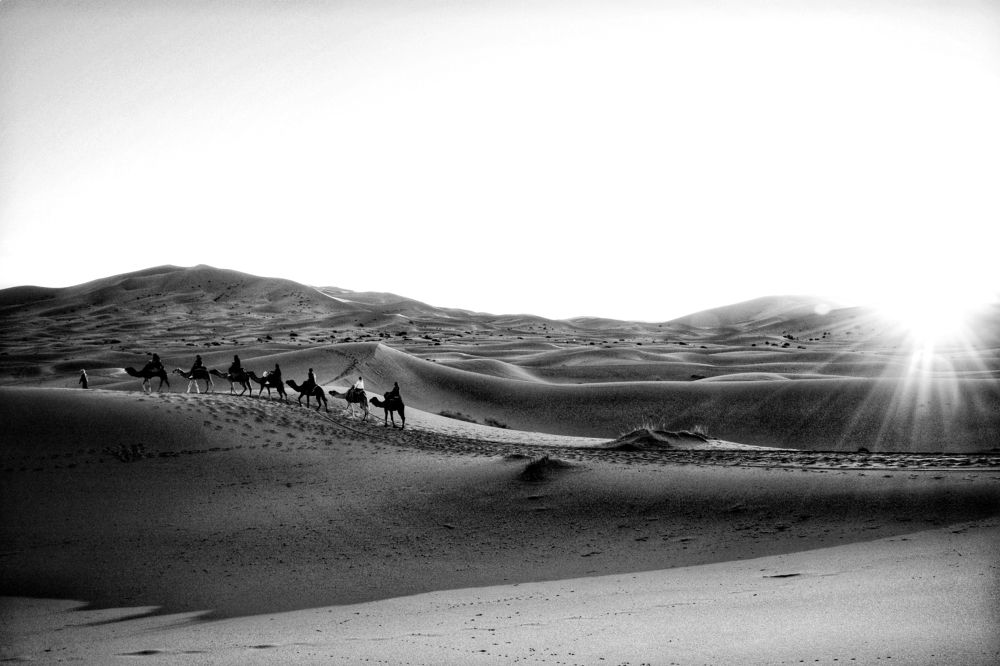 Photograph by Adrian Pablo Rosati