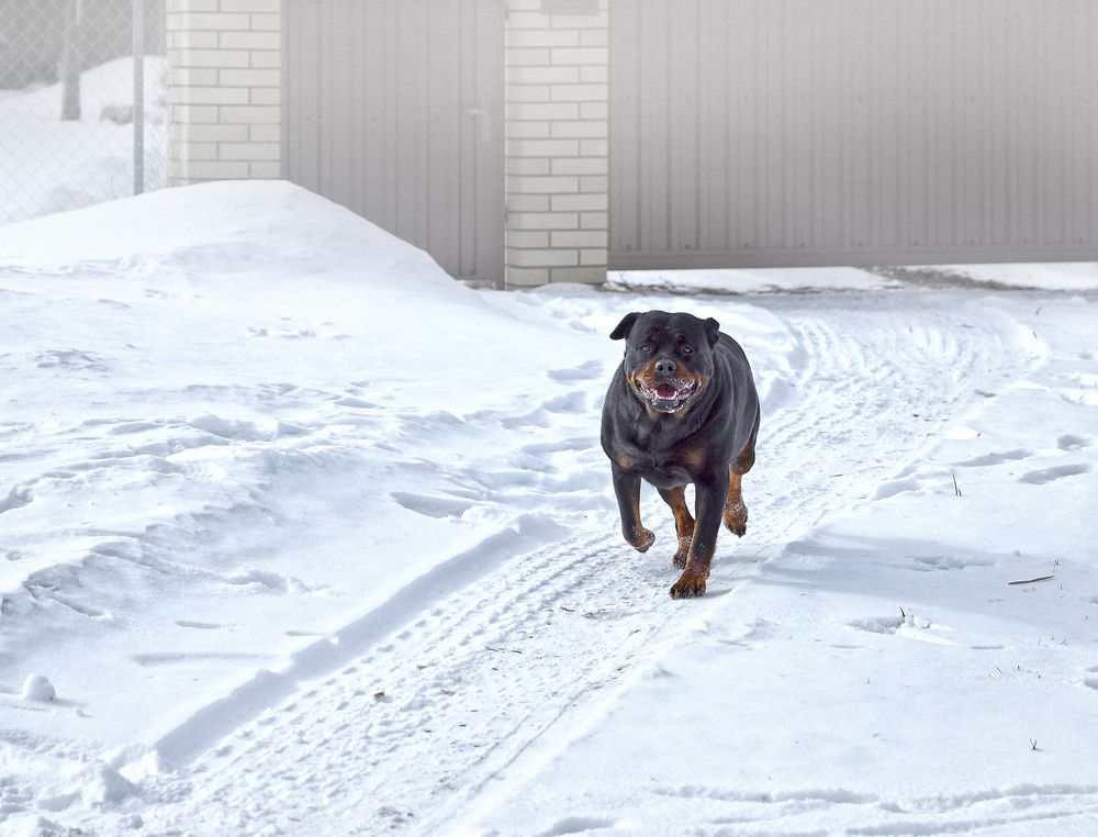 Photograph by Анатолий Максимов