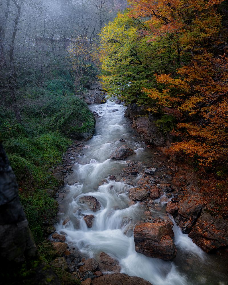 Фотография автора Ali Rouhi