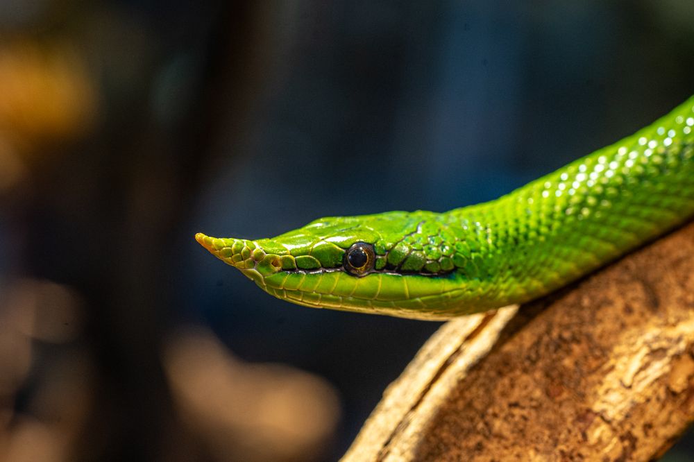 Photograph by Julia A Caesar