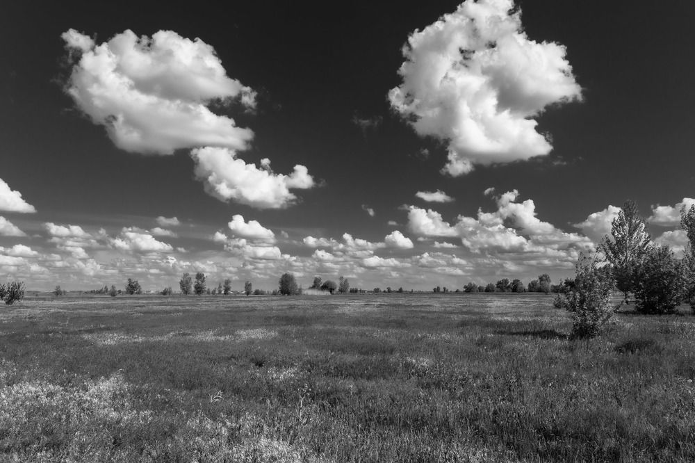 Photograph by Олег Дорошенко