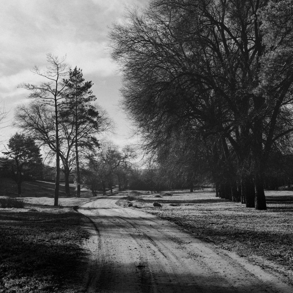 Фотография автора Oleg Suhenko