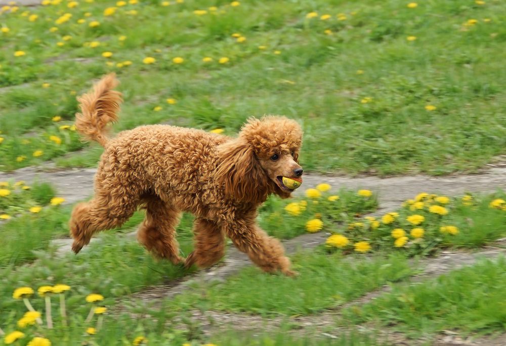 Photograph by Анатолий Максимов