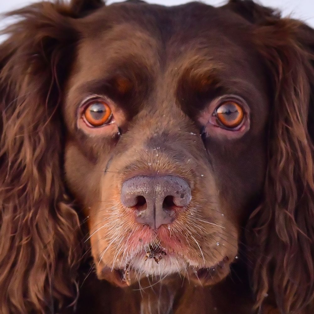 Photograph by Николай Абакумов