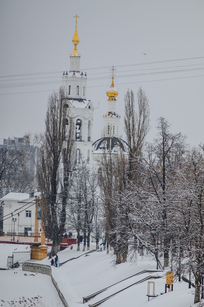 Photograph by Елена Квасова