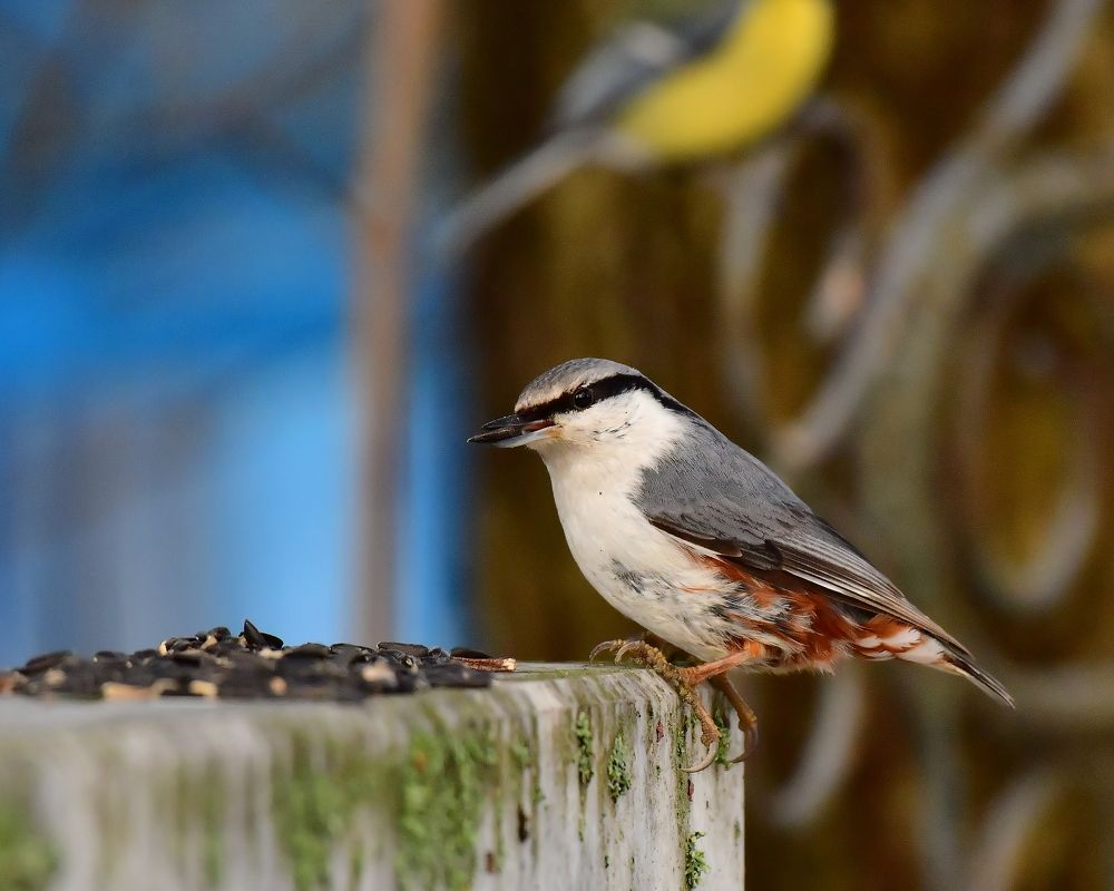 Photograph by Николай Абакумов