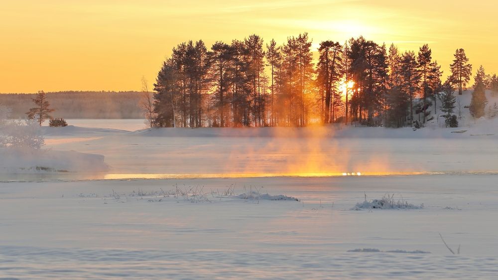 Photograph by Николай Раппу