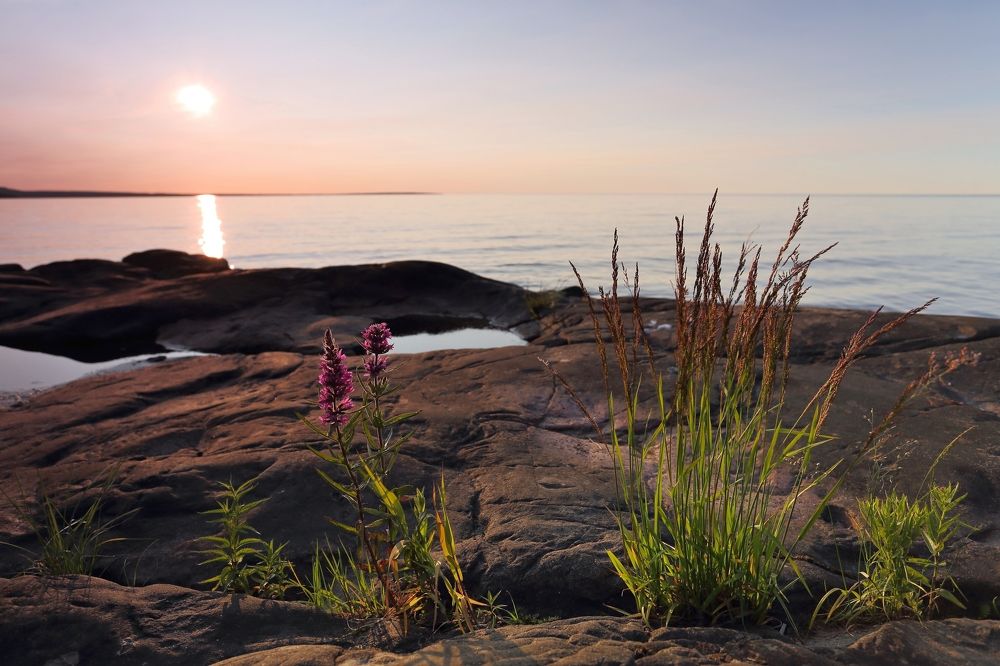 Photograph by Николай Раппу