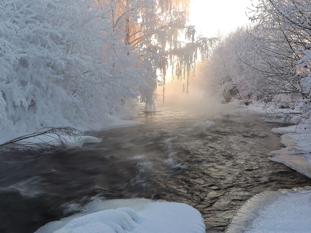 Photograph by Николай Раппу