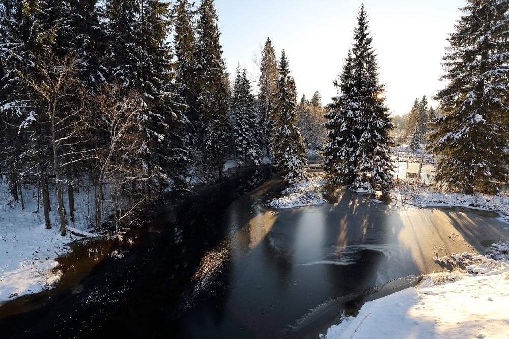 Photograph by Николай Раппу