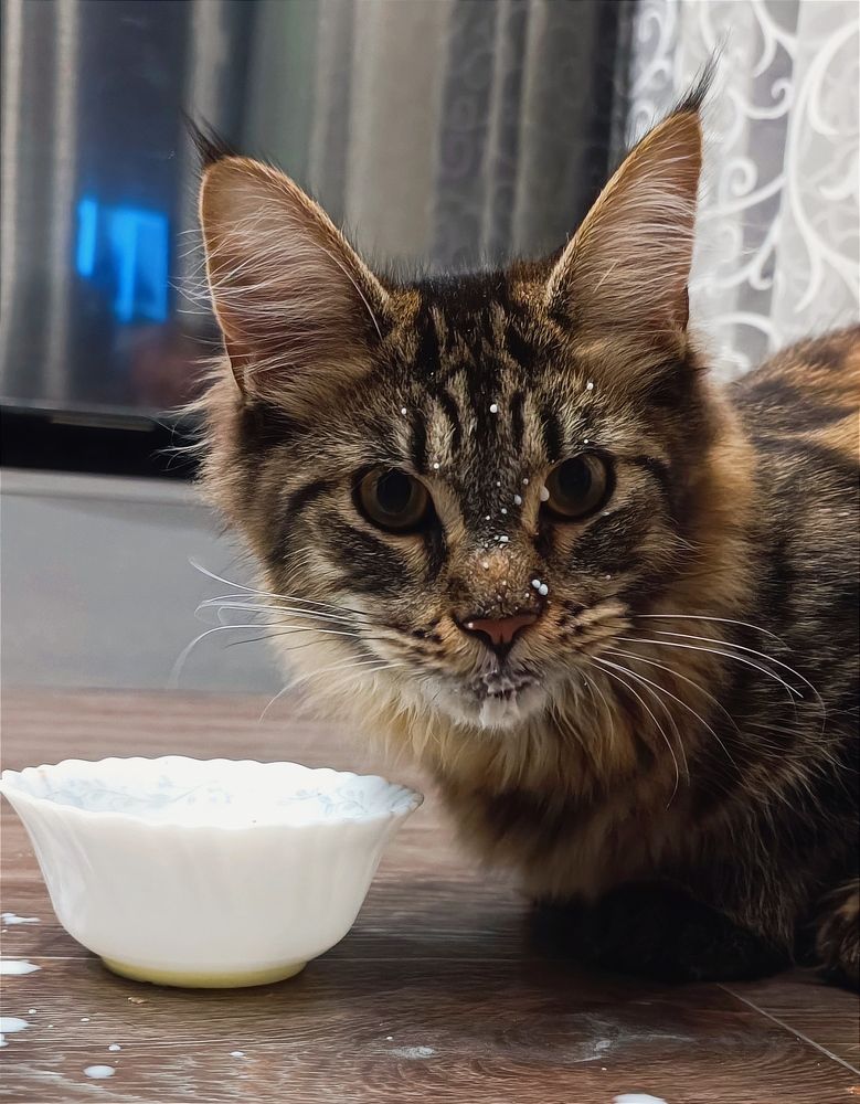 Photograph by Ульяна Северинова