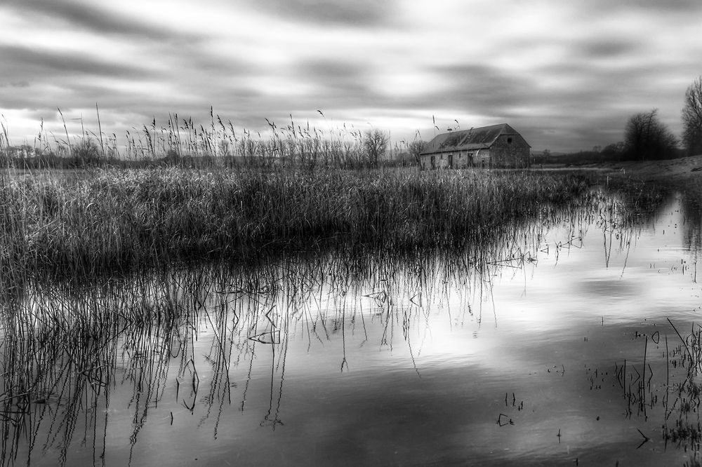 Photograph by Swetlana Lebedev