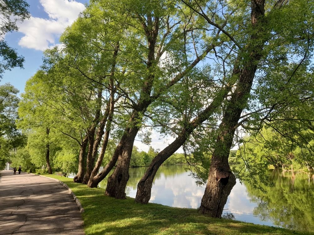 Photograph by Юлия Баринова