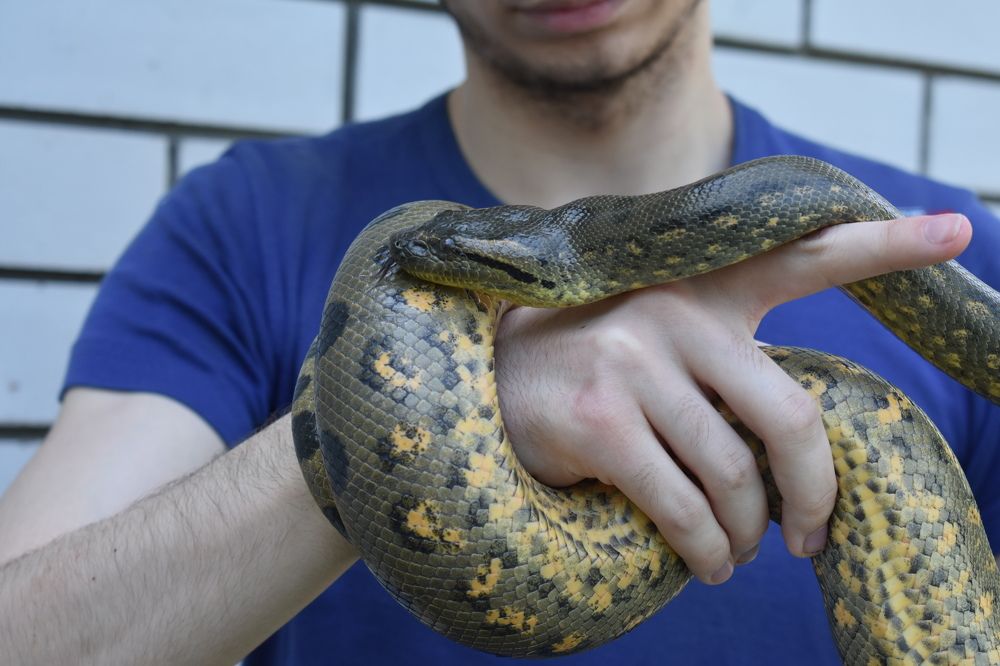 Фотография автора АНАСТАСИЯ ЛЕВИНА