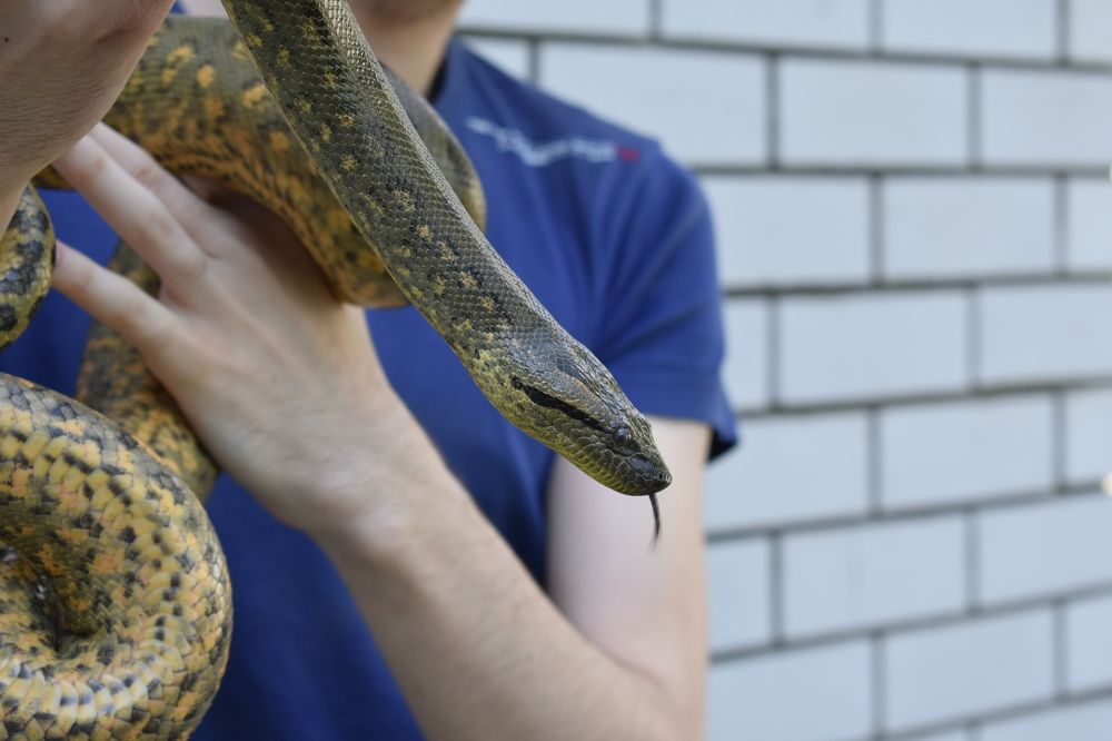 Фотография автора АНАСТАСИЯ ЛЕВИНА