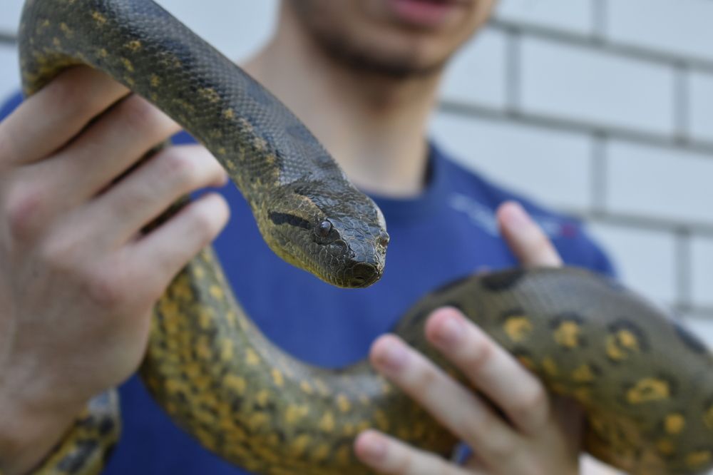 Фотография автора АНАСТАСИЯ ЛЕВИНА