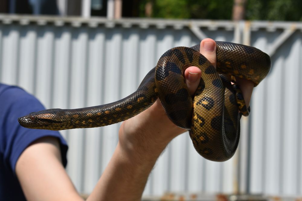 Фотография автора АНАСТАСИЯ ЛЕВИНА