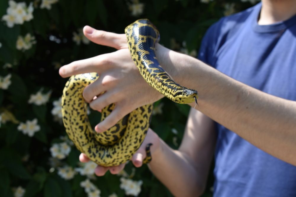 Фотография автора АНАСТАСИЯ ЛЕВИНА