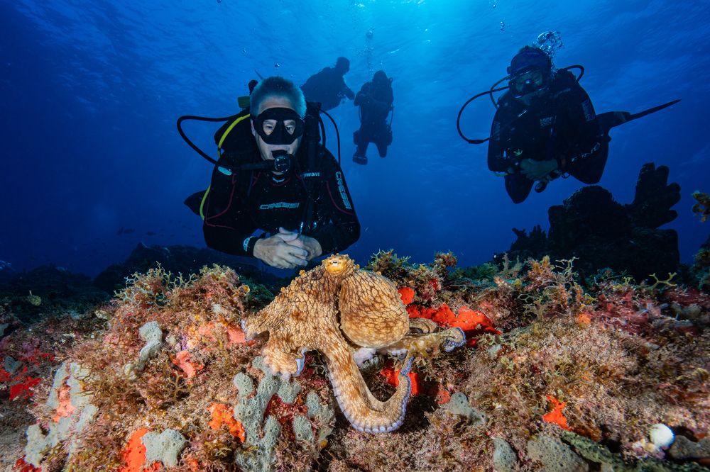 Photograph by gabriel vieira costa