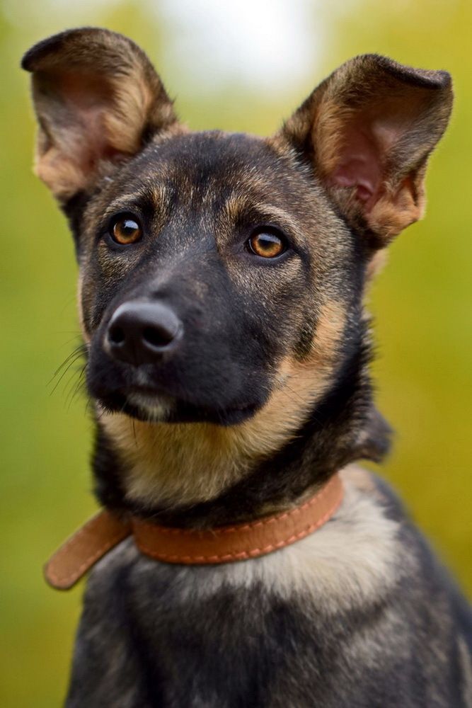 Photograph by Семёнова Светлана