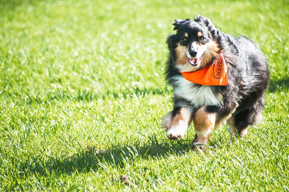 Фотография автора АНАСТАСИЯ ЛЕВИНА