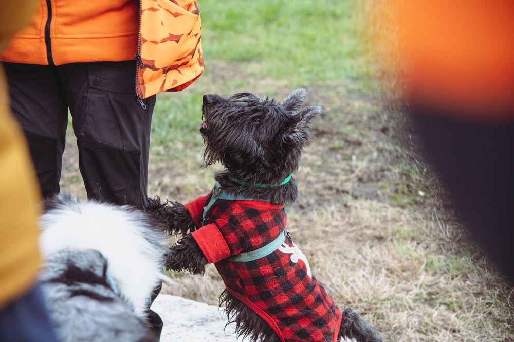 Фотография автора АНАСТАСИЯ ЛЕВИНА