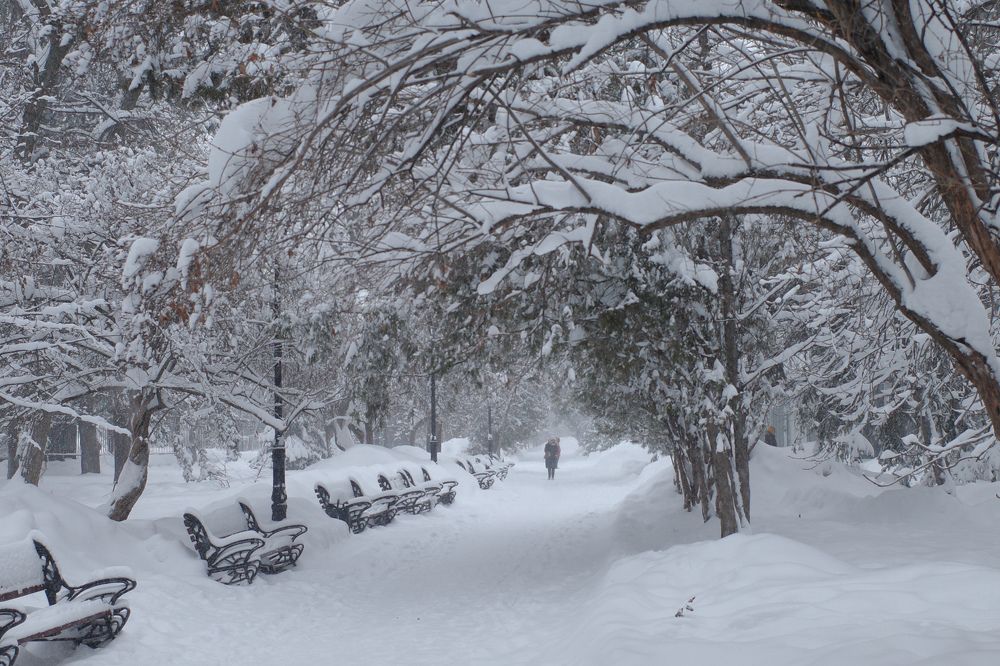 Photograph by Алла Никушкина