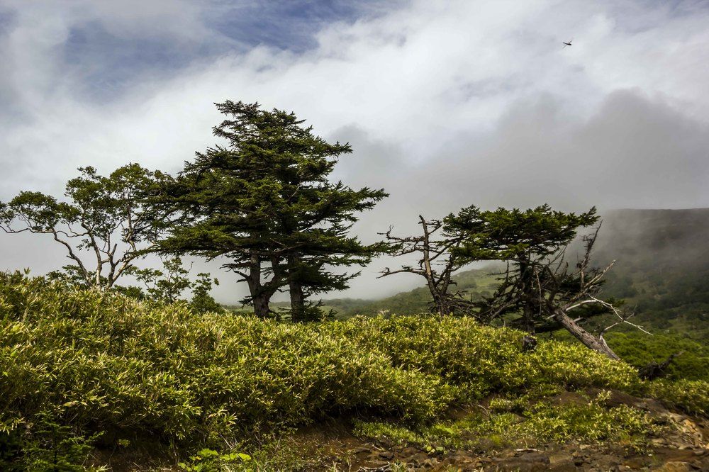 Photograph by Сергей