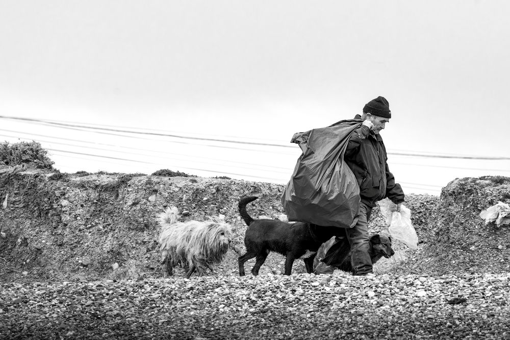 Фотография автора Edgardo Cardenas