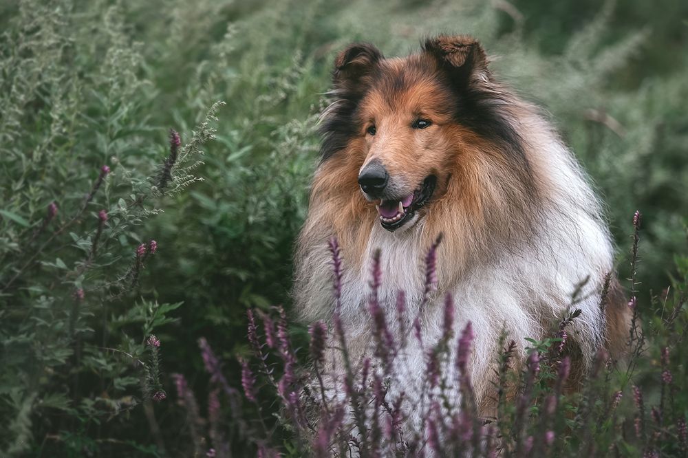 Photograph by СВЕТЛАНА ГРАЧЕВА