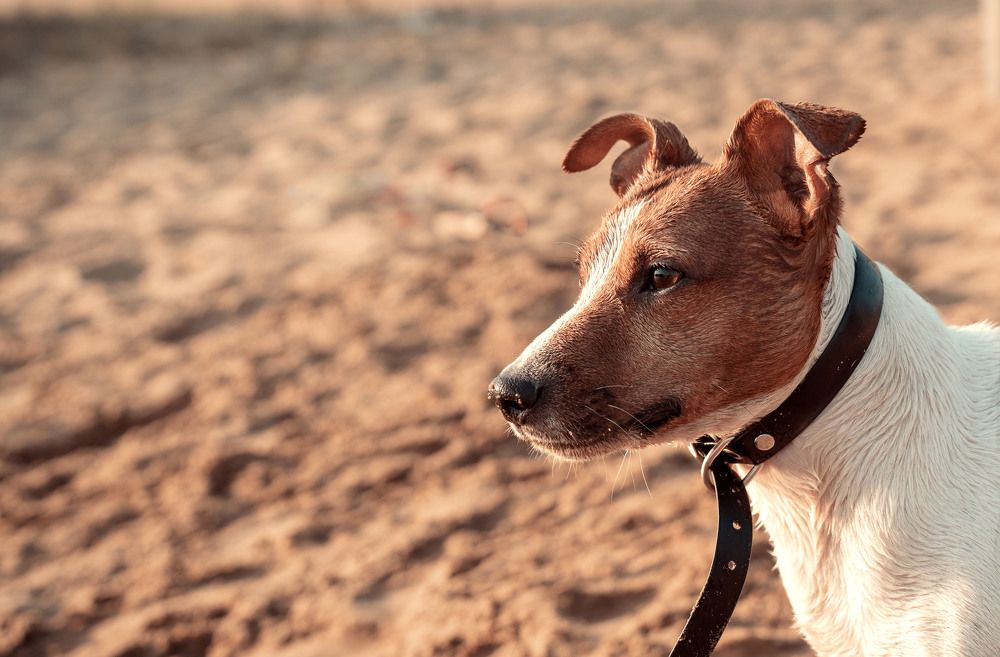 Photograph by Елена Черненкова