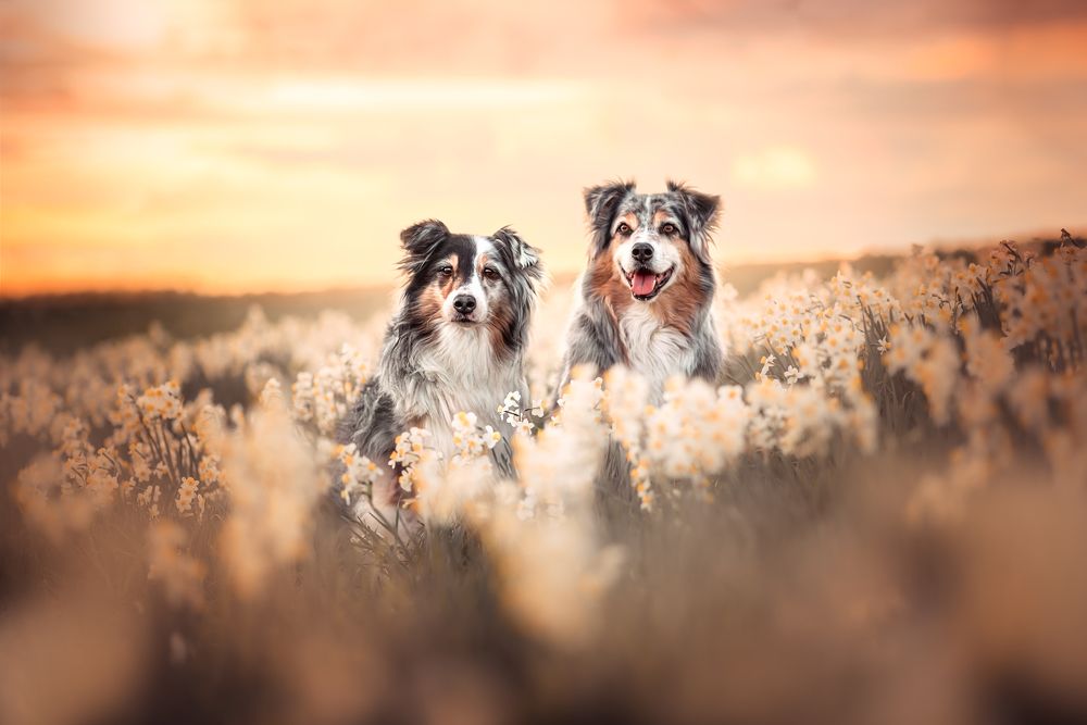 Photograph by Stefania Perrucci