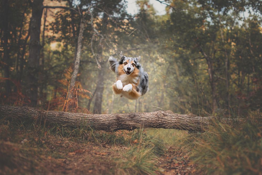 Photograph by Stefania Perrucci