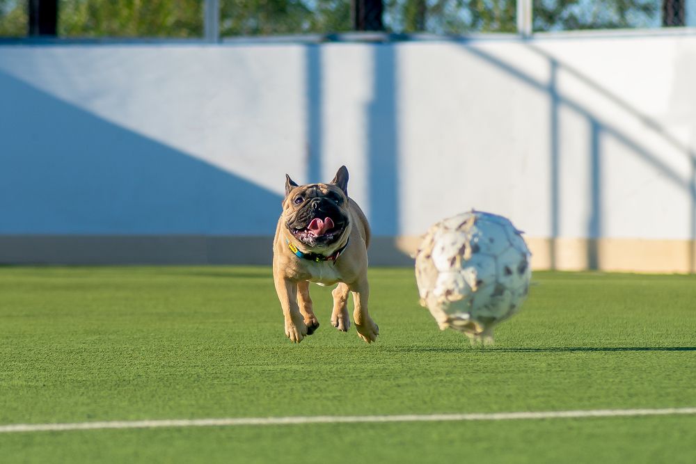 Photograph by Кадырова Марина