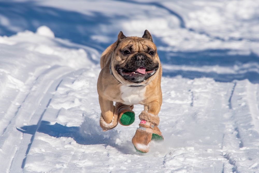 Photograph by Кадырова Марина