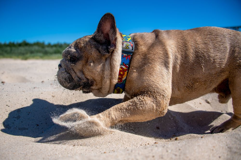 Photograph by Кадырова Марина