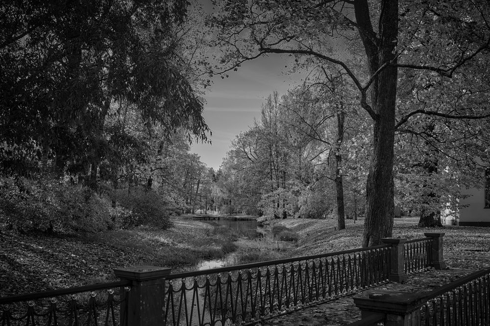 Photograph by Устинов Андрей