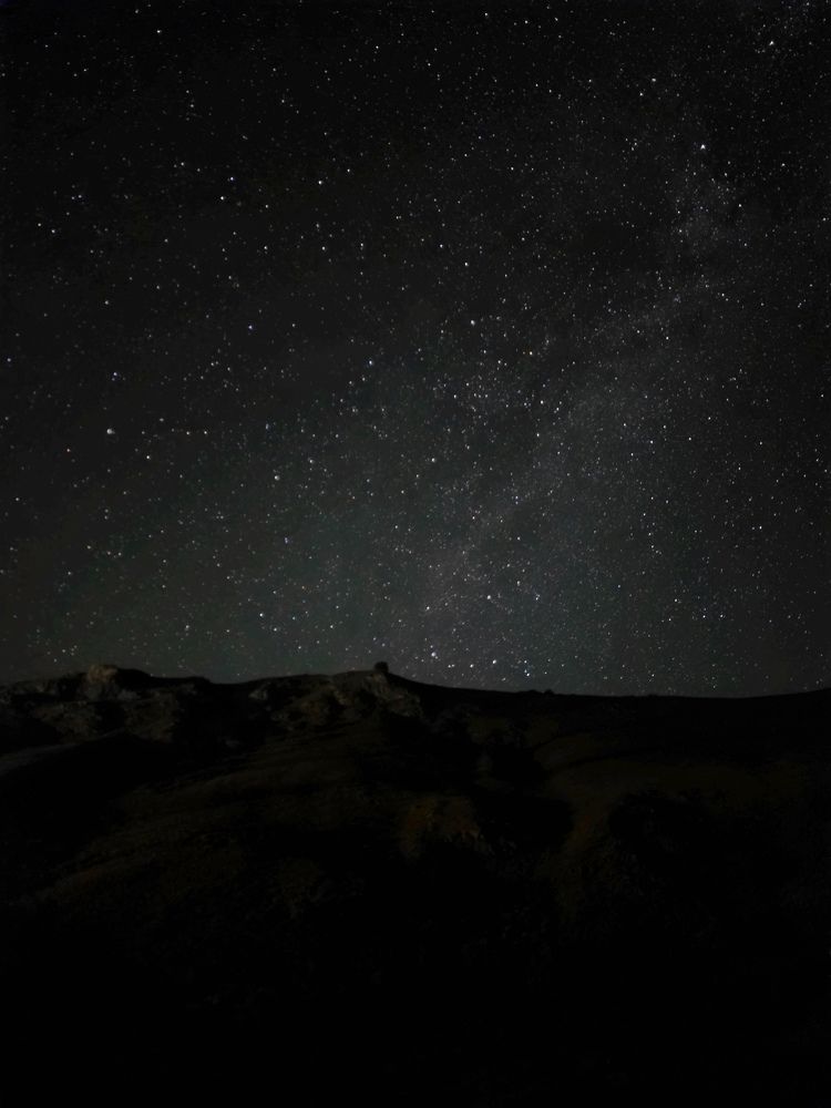 Photograph by Алина Орлова