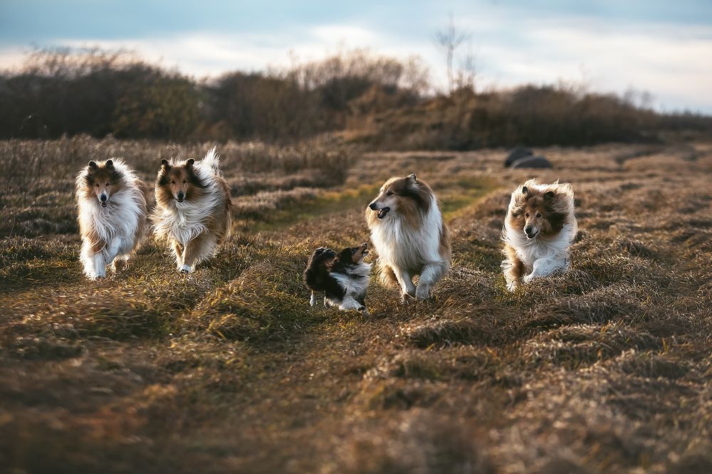 Photograph by СВЕТЛАНА ГРАЧЕВА