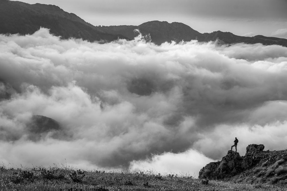 Photograph by Noureddine Belfethi