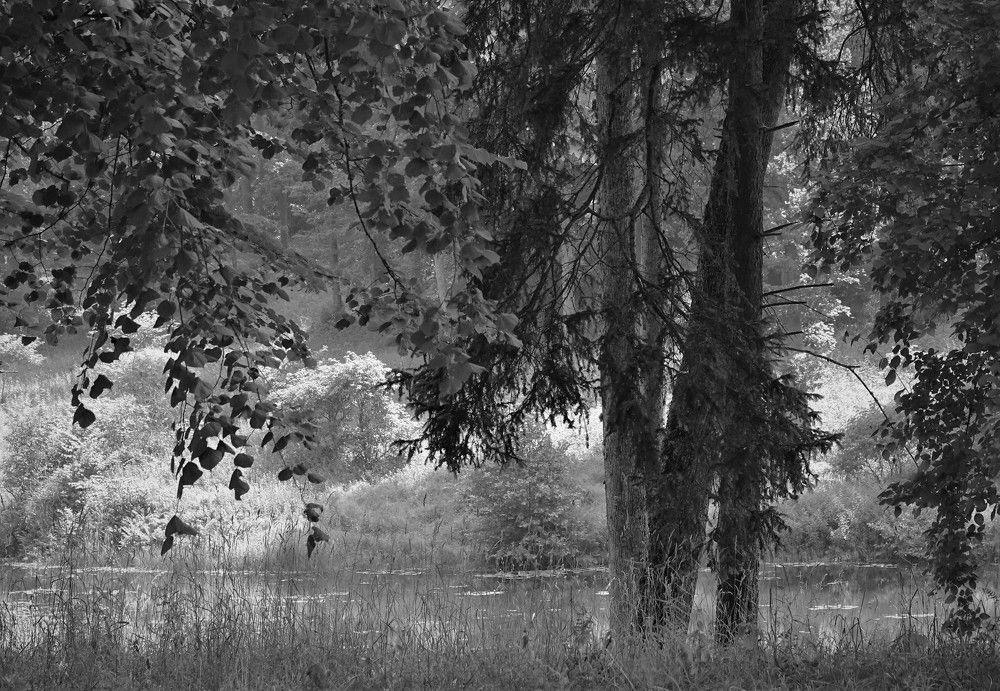 Photograph by jelena konickaja